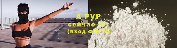 стаф Арсеньев