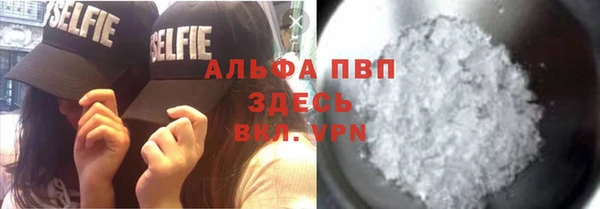 a pvp Аркадак