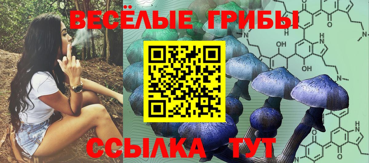 Старая Купавна  Галлюциногенные грибы MAGIC MUSHROOMS  Вход с VPN 